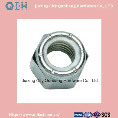 ANSI Ifi Nylon Lock Nuts ASME B18.16.6 1/4