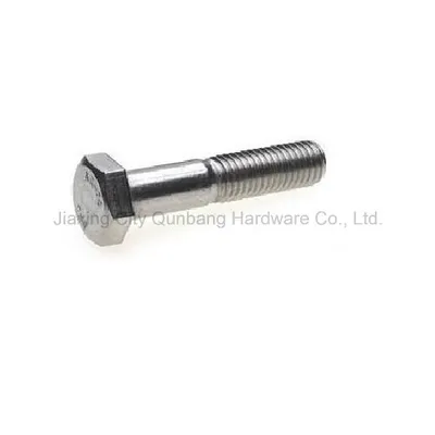 BS1083 Hex Head Screw Stainless Steel Fastener (S. S.)