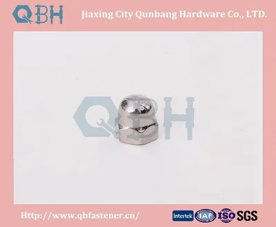 Cap Nuts with Metal DIN986