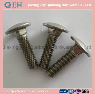 Carriage Bolts (DIN 603 Stainless Steel 316, A4-70)