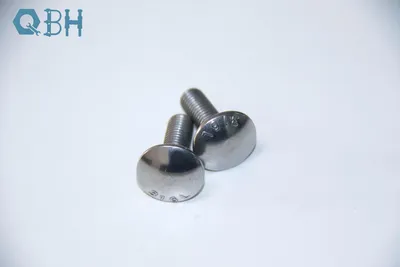 Customized Stainless Steel SS304/316 A2/A4 Round Head Square Neck Bolt Carriage Bolt