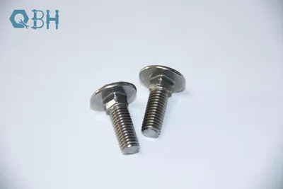 DIN 603 Stainless Steel Carriage Bolts (Round head square neck) 316 L