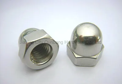 DIN1587 Hexagon Domed Cap Nuts S. S.