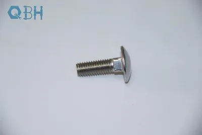 DIN603 Wzp Carbon Steel/ Stainless Steel Fastener Carriage Bolts
