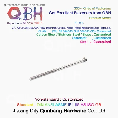 Extended M6m8m10m12-M20 304 Stainless Steel Outer Hexagon Bolt