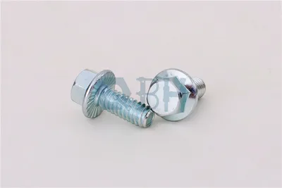 Flange Bolts (DIN6921 M5-M20) Plain/Zinc/ Color-Zinc