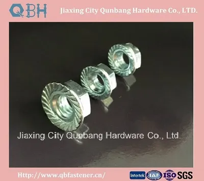 Flange Nut (M5-M20 ANSI B18.2.4.4m)