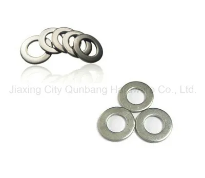 Flat Washer (Carbon Steel Zinc Planted, B. Z. P. DIN125)