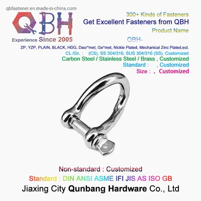 Forged 316 Stainless Steel Marine Twisted Long D Shackle