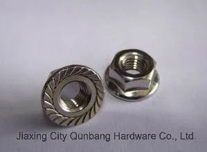 Hex Flange Nut (Cl. 2/5 Y. Z. P. ANSI B18.2.2)
