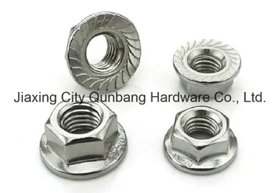 Hex Flange Nuts (DIN6923 M5-M30 Stainless Steel 304, 316)