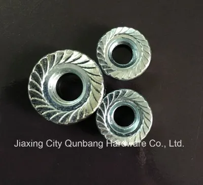 Hex Flange Nuts (M5-M20 Cl. 2/5 ANSI B18.2.4.4m)