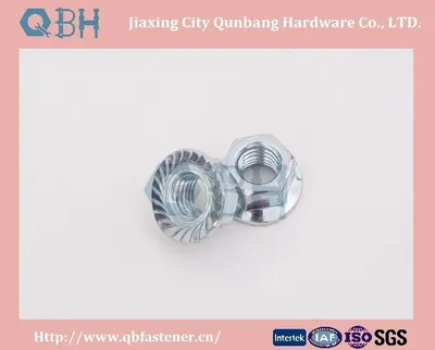 Hex Flange Nuts (M5-M30 Zinc Planted)
