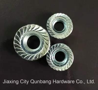 Hex Flange Nuts (M5-M30 Zp Cl. 6/8 DIN6923)