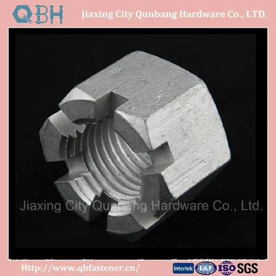 Hex Slotted Nuts (DIN935)