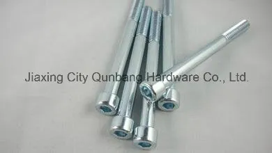 Hex Socket Head Cap Screw DIN912 (B. Z. P.)