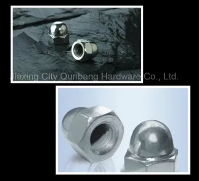 Hexagon Domed Cap Nuts (DIN 1587 M4-M24 B. Z. P.)