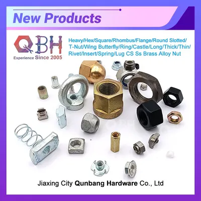 New Release Qbh All Type Heavy/Hex/Square/Rhombus/Flange/Round Slotted/T-Nut/Wing Butterfly/Ring/Castle/Long/Thick/Thin/Rivet/Insert/Spring/Lug Nut
