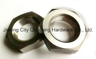 Nuts (A2-70 DIN936 M8-M52 Stainless Steel)