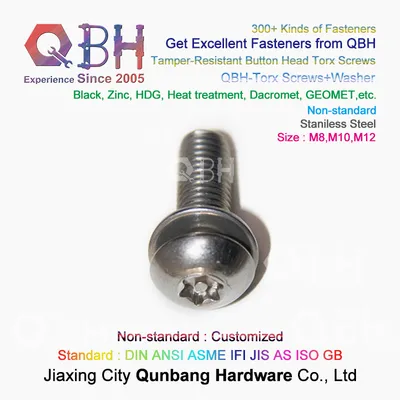 OEM Customized Custom-Made Stainless Steel Tamper-Resistant Button Head M8 M10 M12 Torx Screw Sizes