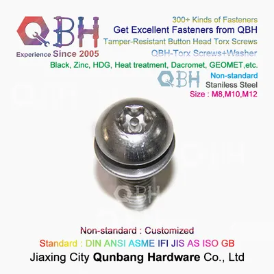 OEM Stainless Steel Ss 304 316 Flower Word Torx Mushroom Button Head Tamper-Resistant Machine Security Screw with Flat/Spring Plain Washers