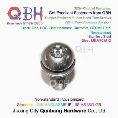 OEM Stainless Steel Tamper-Resistant Button Head Inner Flower Torx Screws with Washer