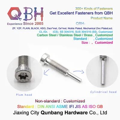 Qbh 304 Solar Plum Bolt with Cylindrical Head with Cylindrical Head Plum Blossom Bolt