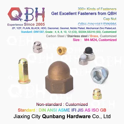 Qbh All-Metal Carbon/Stainless Steel/Brass/Copper/Alloy Plain Black Yellow Blue Zinc Nickle Plated HDG Hot DIP Galvanizing Dacromet Geomet Cap Acorn Lock Nut