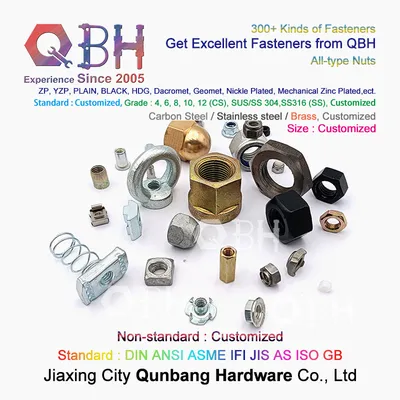 Qbh All Type Heavy/Hex/Square/Rhombus/Flange/Round Slotted/T-Nut/Wing Butterfly/Ring/Castle/Long/Thick/Thin/Rivet/Insert/Spring/Lug CS Ss Brass Alloy Nut
