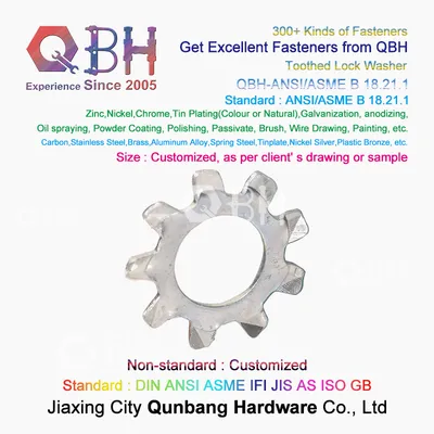 Qbh Automotive Railway Lighting Pump Body Marine Valve Architectural Furniture Parts Countersunk External Serrated Toothed Metal Special Lock Locking Washer