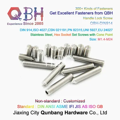Qbh Carbon Steel/Stainless Steel Cup/Cone Point DIN914/DIN916 Hex Hexagon Hexagonal Socket Tapered End Screw