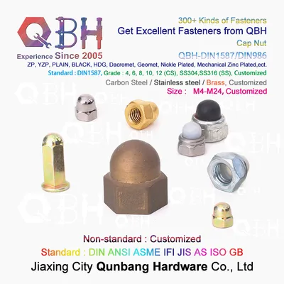 Qbh Carbon Steel Stainless Steel Nylon CS Ss DIN1587 DIN986 Hex Protection Domed Cover Cap Acorn Lock Nut Locknut Automobile Car Auto Spare Fasteners