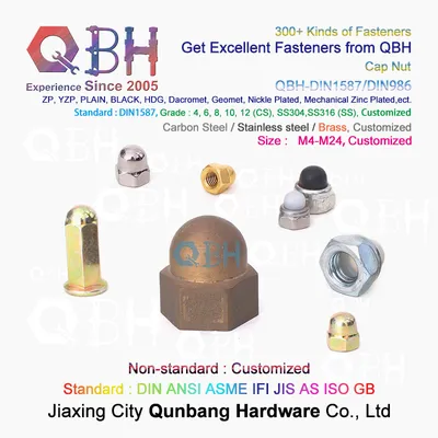 Qbh Carbon Steel Stainless Steel Nylon CS Ss DIN1587 DIN986 Hex Protection Domed Cover Cap Acorn Lock Nut Locknut Automobile Car Auto Spare Parts