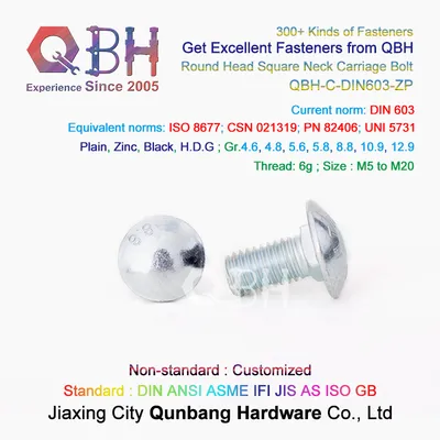 Qbh Carriage Bolts (DIN603, Cl. 6.8) Factory Service