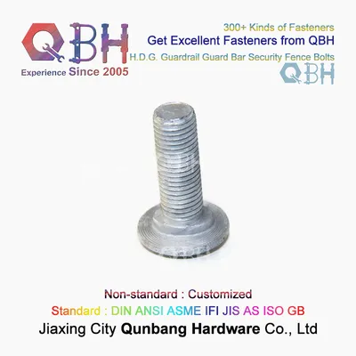 Qbh Cusrom-Made Non-Standard ODM ODM Guardrail Guard Bar Security Fence Screws