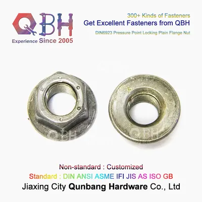 Qbh Custom-Made DIN6923 DIN 6923 M5-M20 Plain Pressure Point Self Locking Non-Serrated Hex Flange Nut