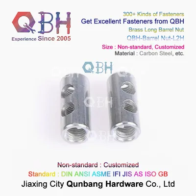 Qbh Custom-Made OEM ODM Precast Concrete Inner Thread Screw Carbon Steel/Stainless Steel/Copper/Brass/Alloy Metal Lifting Socket Anchor Nut
