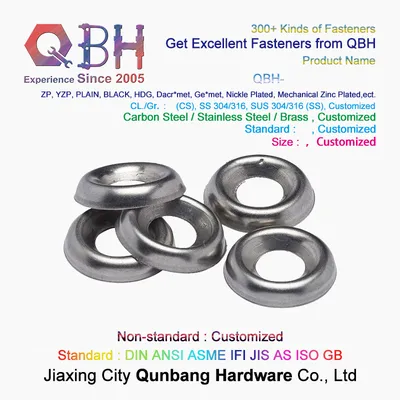 Qbh Customized 18-8 (SS304) OEM ODM Metal Stainless Steel Bolt Dropper Polished Washer/Round Special Backup Ring