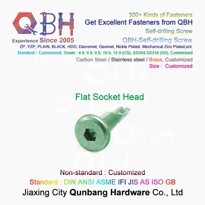 Qbh Customized Big Flat Head Hex Socket Drive SDS Screws