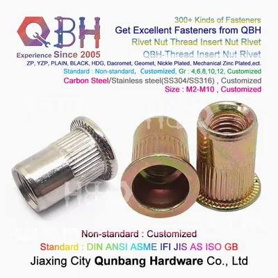 Qbh Customized Carbon Steel Stainless Steel Metric Blind Hollow Flat Cks Countersunk Head Rivet Screw
