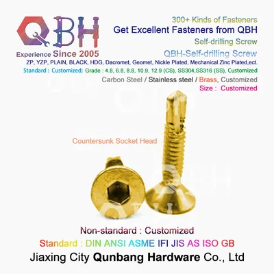 Qbh Customized Countersunk Cks Head Hex Socket Drive SDS Screws