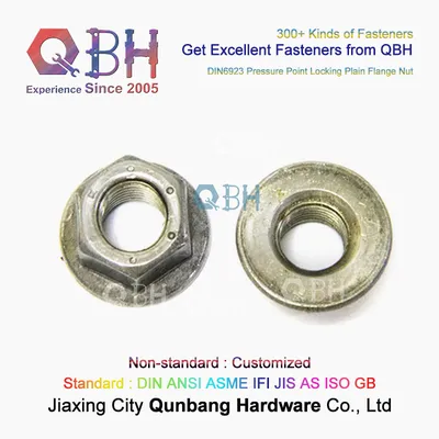 Qbh Customized DIN 6923 Plain Pressure Point Non-Serrated Hex Flange Nuts Special Locknut