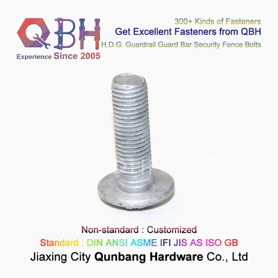 Qbh Customized HDG H. D. G. Hot DIP Galvanizing High Road Guard Rail Bolts