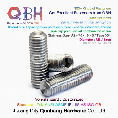 Qbh Customized Ss/SUS 304 / 316 DIN916/DIN914 Socket Set Grub Screw