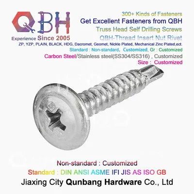 Qbh Customized Truss Wafer Head SDS Screw