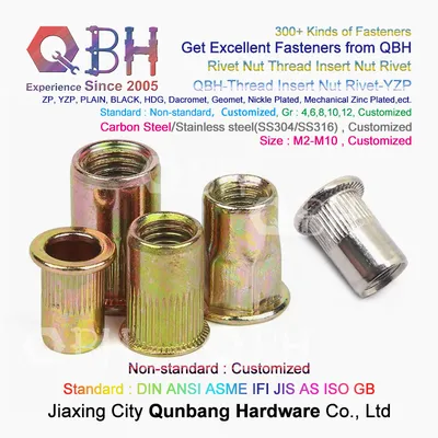Qbh Customized Yzp Wzp White/Yellow Zinc Plated Black Knurled Flat Round Head Cylindrial Carbon Steel Stainless Steel Nutsert