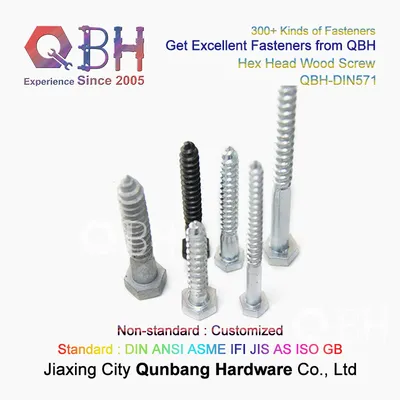 Qbh DIN 571 Carbon Steel/Stainless Steel Hex Head Wood Screw Lag Bolts