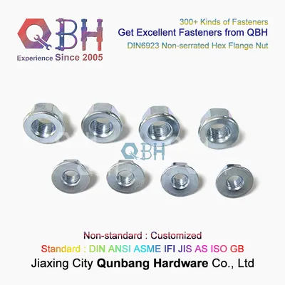 Qbh DIN 6923 DIN6923 Cl. 4, 6, 8, 10, 12 Non-Serrated Hex Flange Head Nut