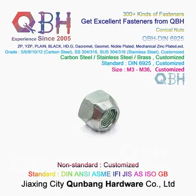 Qbh DIN 6925 M6-M36 Cl. 5/6/8/10/12 Black Zp Bzp Bwzp Prevailing Torque Type Lock Nut