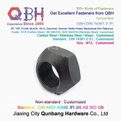 Qbh DIN 74361-2 (F) DIN74361-2 (F) DIN 74361-2 F DIN74361-2f M12 Black Zinc Plated Prevailing Torque Type Nut